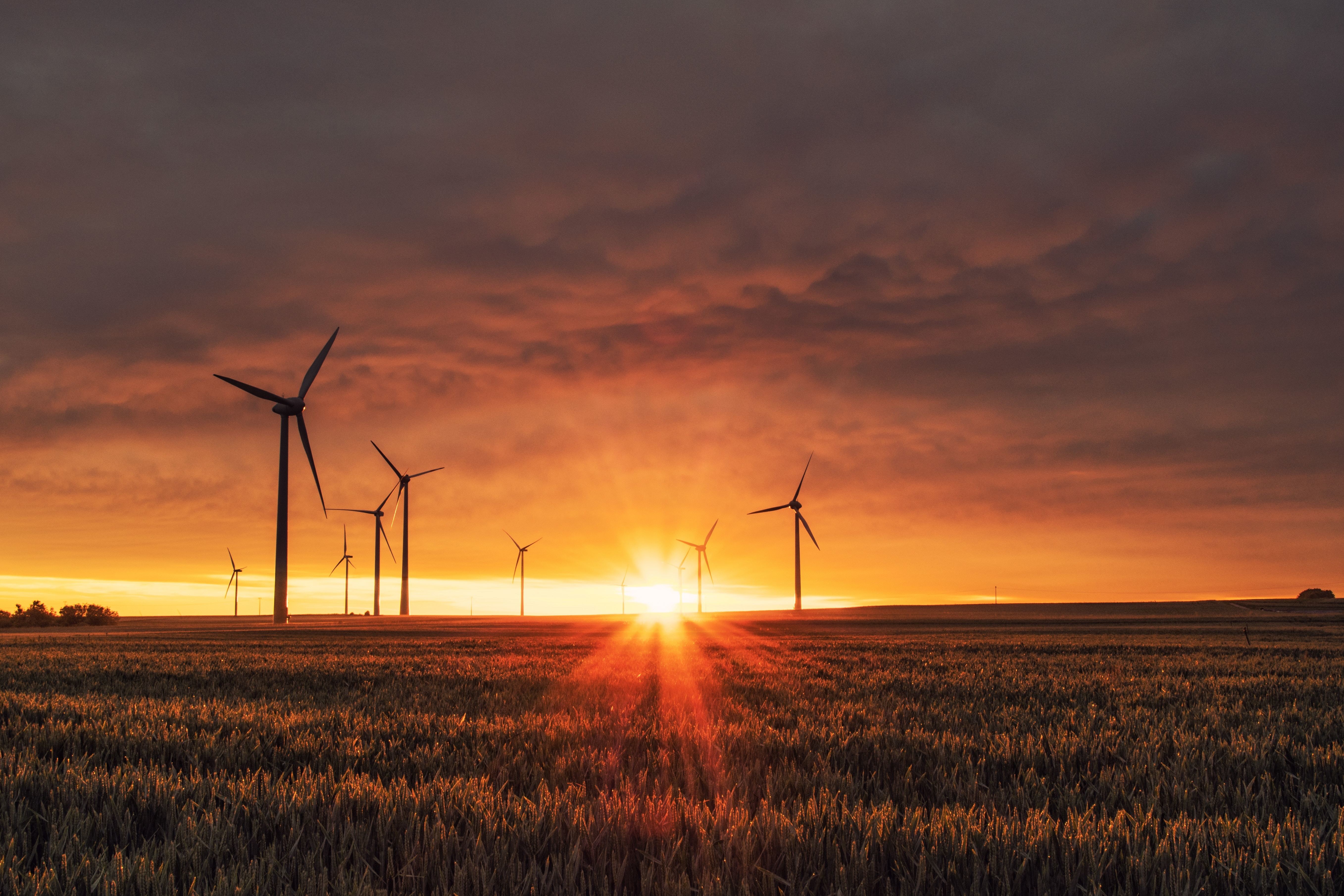WInd turbines at sunrise, illustrating the need for more climate finance initiatives